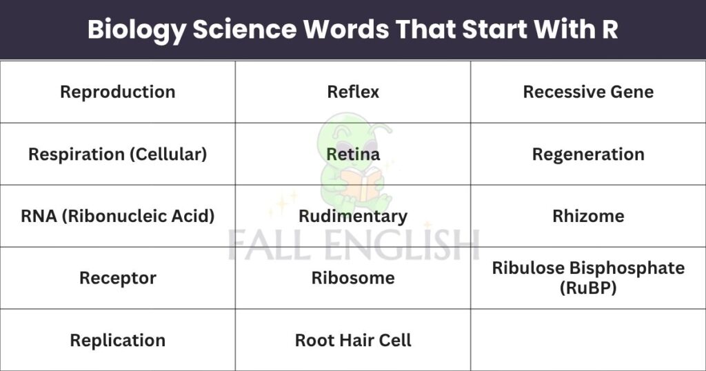 Biology Science Words That Start With R