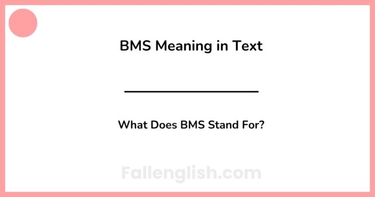 BMS Meaning in Text: What Does BMS Stand For?