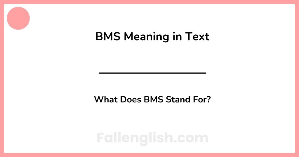 BMS Meaning in Text: What Does BMS Stand For?